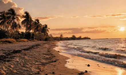 Los hombres de Playa Girón