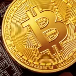 Bitcoin: El foso defensivo