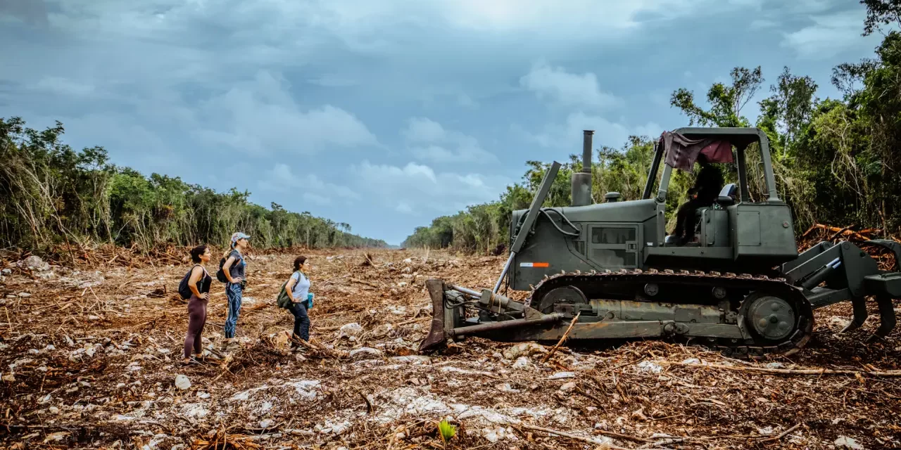 Sí al desarrollo, no al ecocidio. Los polémicos megaproyectos de México