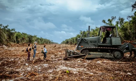 Sí al desarrollo, no al ecocidio. Los polémicos megaproyectos de México