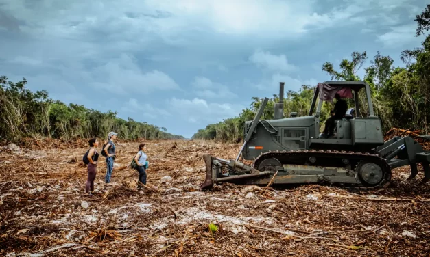 Sí al desarrollo, no al ecocidio. Los polémicos megaproyectos de México