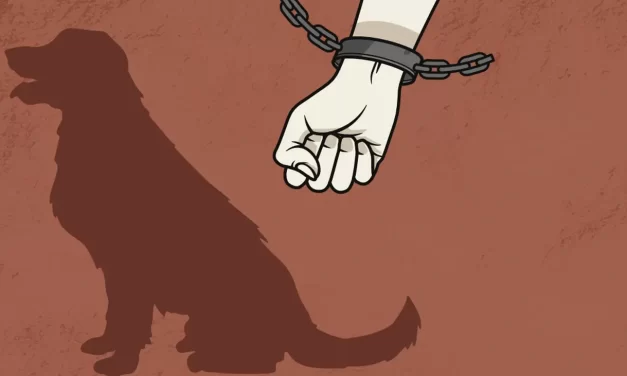 Maltrato animal en Saltillo: Una realidad que exige justicia y compromiso social