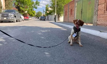 Detectar fugas para cuidar el agua