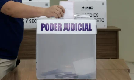 Por qué votar en 2025